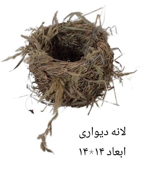 لانه طبیعی دیواری
